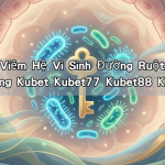 Chống Viêm Hệ Vi Sinh Đường Ruột: Chìa Khóa Vàng Kubet Kubet77 Kubet88 Kubet11